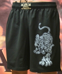 Шорты спортивные 764