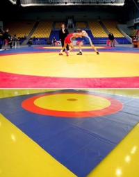 Борцовские ковры