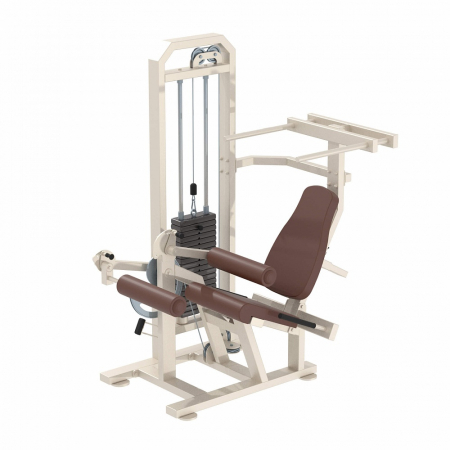 Сгибание ног сидя