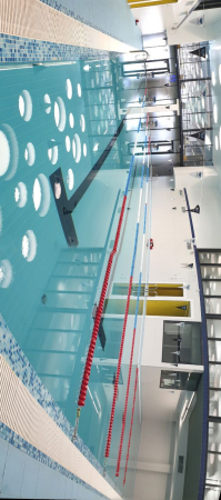 Аренда дорожки бассейна